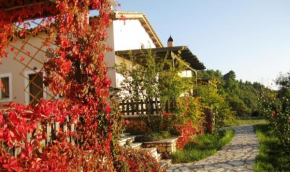 Гостиница anerada / sun nature holidays  Атани